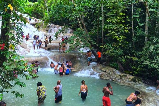 Private Dunn's River Falls from Ocho Rios - Key points to know before you book