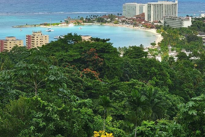 Private Dunn's River Falls, Ocho Rios Sightseeing and shopping - Shopping, local contact, and the limits of the format