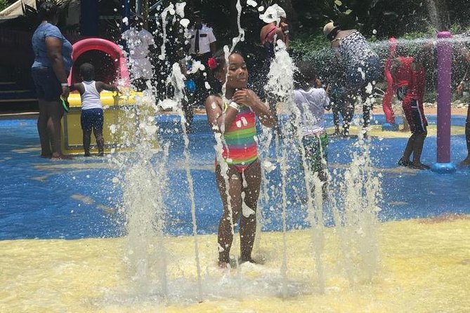 [PRIVATE] Dunn's River Falls with Entrance Fees - What the $158.11 price really covers