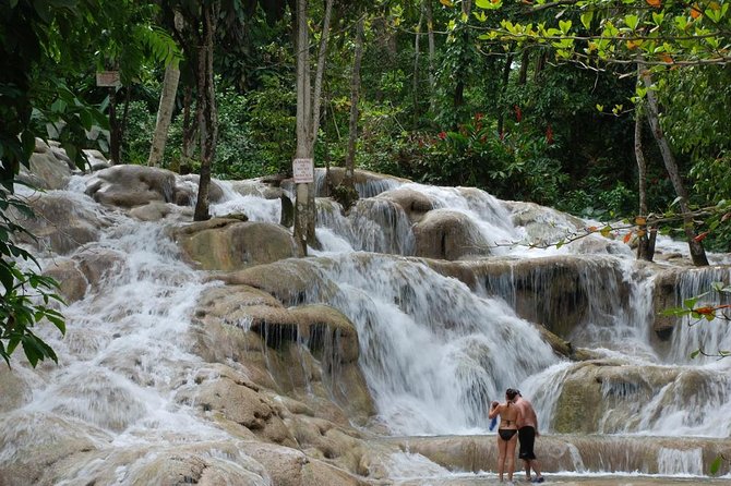 [PRIVATE] Dunn's River Falls with Entrance Fees - Who will enjoy this tour most