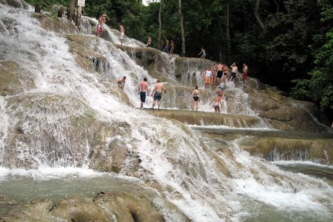 [PRIVATE] Dunn's River Falls with Entrance Fees - Entering the park and getting ready for the water