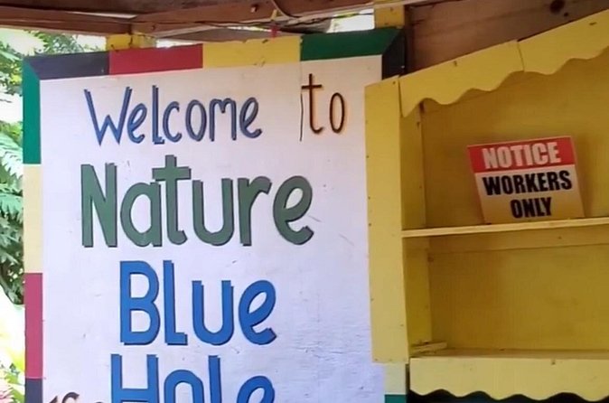 Private Dunns River Falls and Blue Hole from Montego Bay Tour - Cheryl’s role can shape the whole day
