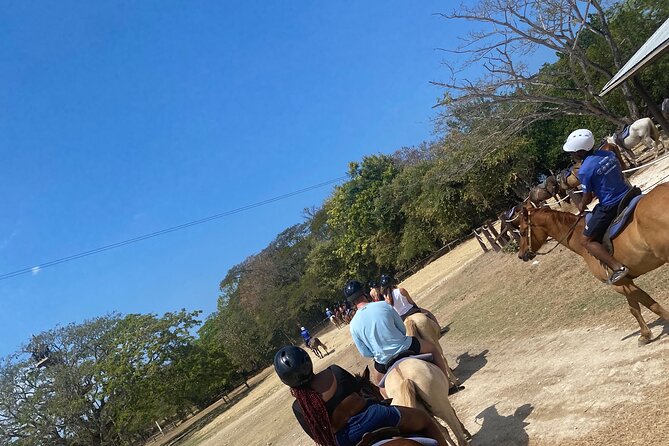 Private Dunns River Falls and Horse Back Riding - Two Jamaican highlights in one compact outing