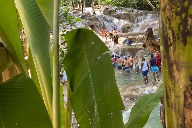 Private Dunns River Falls and Horse Back Riding - What $110 includes and what it does not