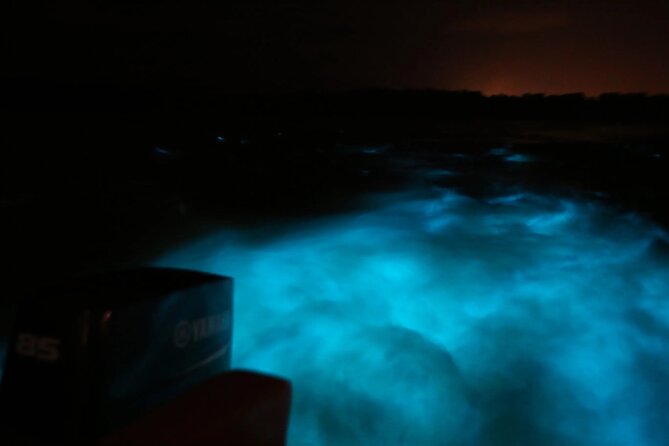 Private Guided Night Tour of Luminous Lagoon in Montego Bay - From Montego Bay to Falmouth After Sunset