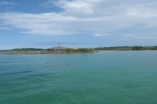 Private Half Moon Beach Tour from Montego Bay - Food, drinks, and the real price