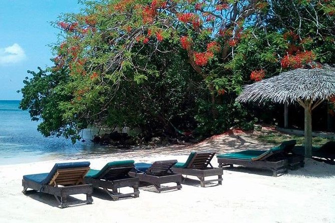 Private Half Moon Beach Tour from Montego Bay - Two hours at Half Moon Beach