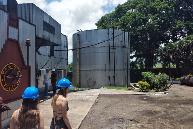 Private Hampden Estate Rum Tour from Montego Bay or Falmouth - Why Hampden Estate feels different from a standard rum stop