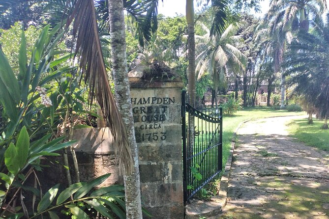 Private Hampden Estate Rum Tour from Montego Bay or Falmouth - Who will enjoy this tour most?
