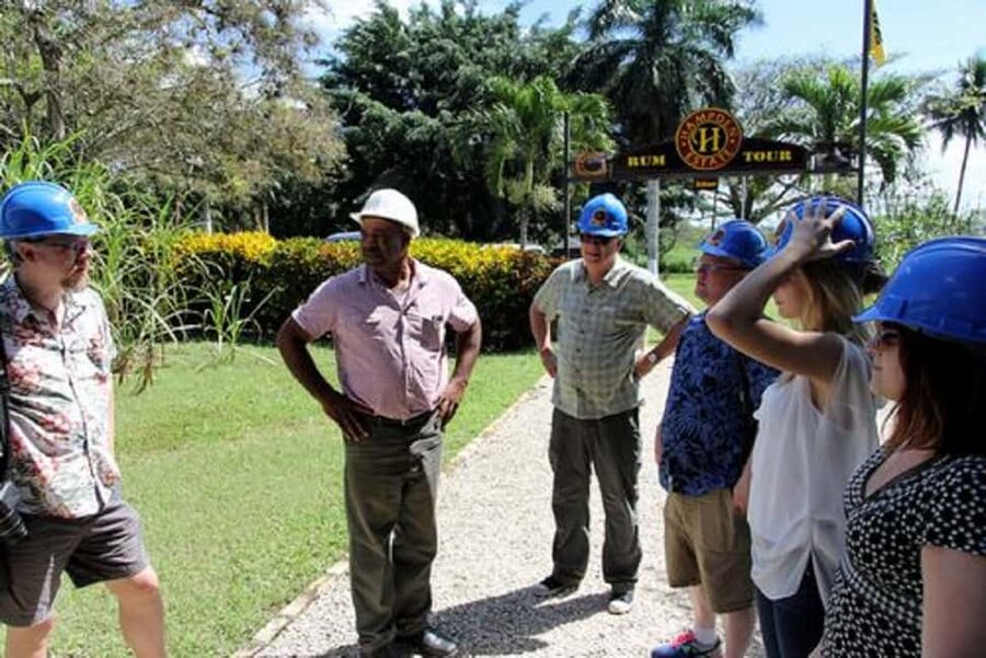Private Hampden Estate Rum Trip from Montego Bay - Why Hampden Estate is worth the trip from Montego Bay