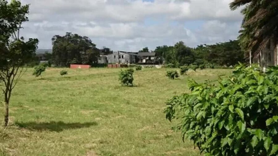 Private Hampden Estate Rum Trip from Montego Bay - Arriving at a distillery with old methods