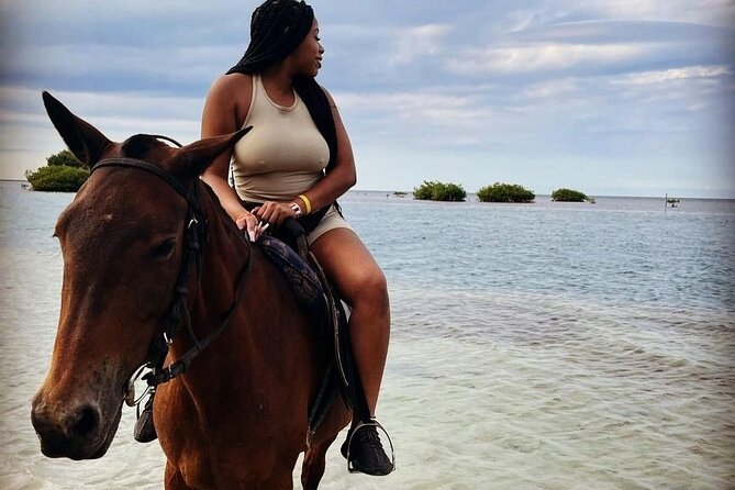 Private Horse Back Riding with ATV Combo. - What the 45-minute ATV ride feels like