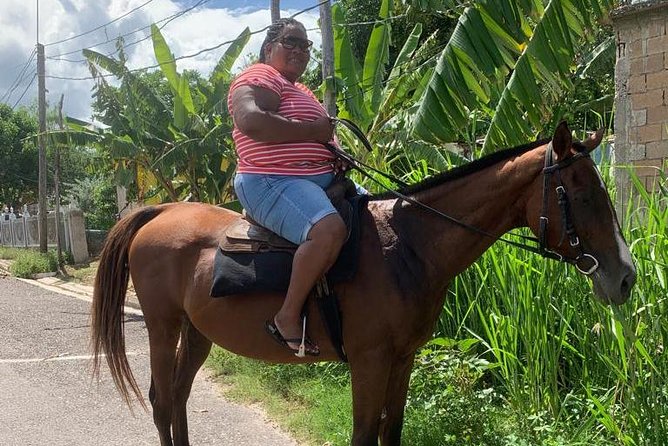 Private Horseback Riding from Ocho Rios with Guide - From Ocho Rios port to the riding stable