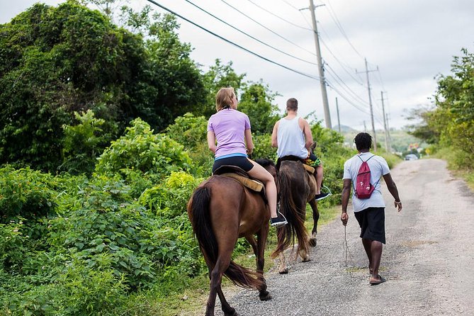 Private Horseback Riding from Ocho Rios with Guide - Meeting the horses and choosing a comfortable pace