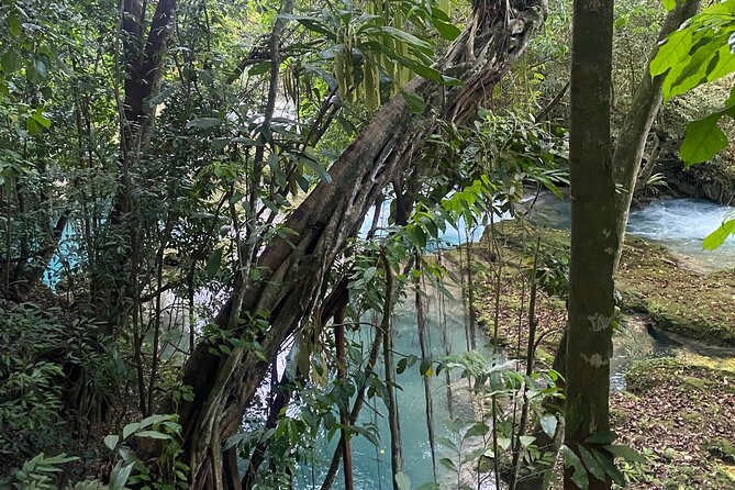 Private Horseback Riding with Blue Hole River Tour in Montego Bay - From Montego Bay to Discover Bay on horseback