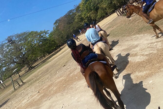 Private Horseback Riding with Blue Hole River Tour in Montego Bay - Blue Hole: one active hour in the river