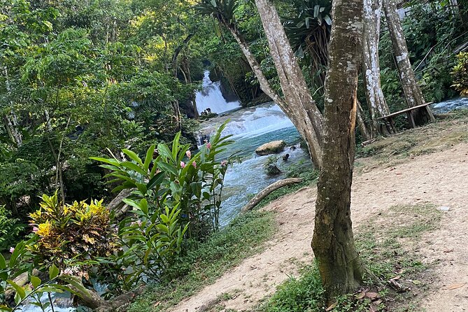 Private Horseback Riding with Blue Hole River Tour in Montego Bay - Private transport makes the half-day easier