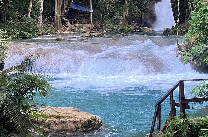 Private Horseback Riding with Blue Hole River Tour in Montego Bay - Price and value at $80 per person
