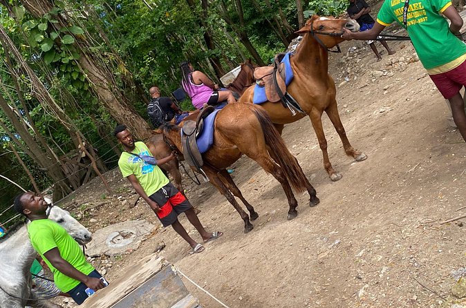 Private Horseback Riding with Blue Hole River Tour in Montego Bay - Should you book the Montego Bay horse and river tour?