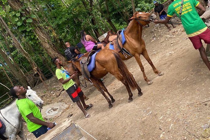 Private Horseback Riding with Blue Hole River Tour in Montego Bay - What 45 minutes in the saddle really gives you