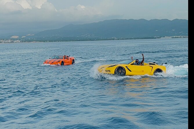 Private Jet Car or Jet Ski Experience in Montego Bay - Who will enjoy this most?