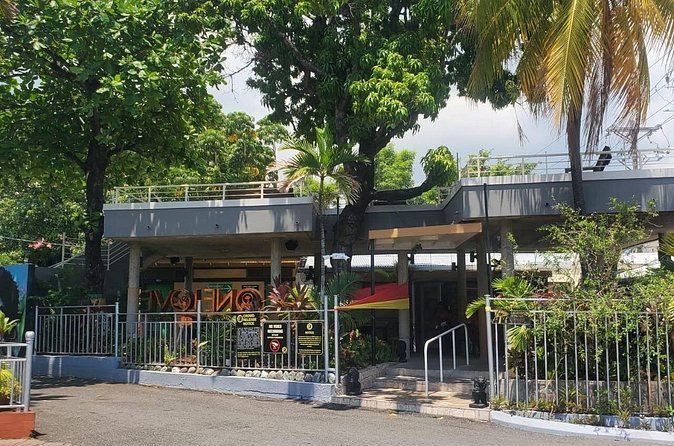 Private Kingston and Bob Marley Museum Tour from Falmouth - Who will enjoy this private Kingston outing?