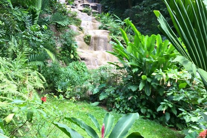 Private Konoko Falls and Blue Hole Combo Tour from Ocho Rios - The value of a private guide