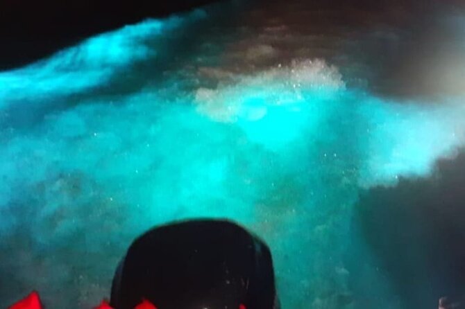 Private Luminous Blue Lagoon Night Tour in Falmouth - Why the Lagoon Glows at Night