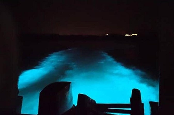 Private Luminous Blue Lagoon Night Tour in Falmouth - Entering the Water, If You Choose