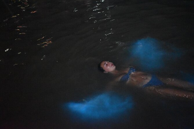 Private Luminous Lagoon Tour from Montego Bay - The restaurant and entertainment at the site