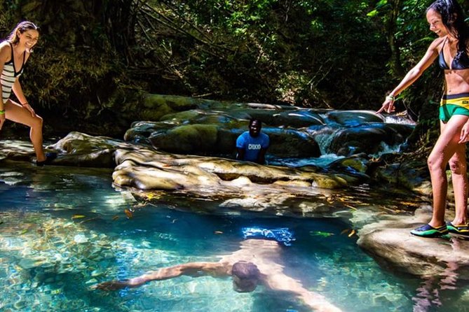 Private Mayfield Falls Waterfalls Tour [ Transportation ] - The ride from Montego Bay to Mayfield Falls