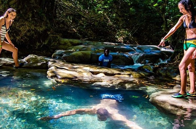 Private Mayfield Falls Waterfalls Tour [ Transportation ] - Why private transport can be worth it