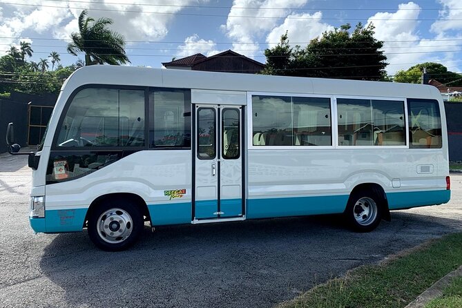 Private Montego Bay Airport Transfer to Ocho Rios Hotels - Leaving Montego Bay Airport without the taxi-line hassle