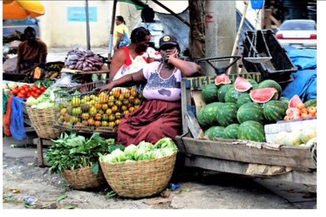 Private Montego Bay City Tour with Sightseeing and Shopping - Is $90 per person a fair price?