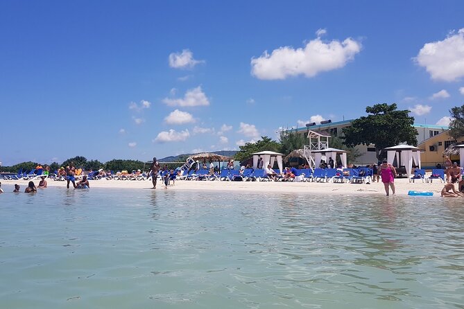 Private Montego Bay Highlight Tour with Local Guide - A private vehicle, local guides, and the value of $40