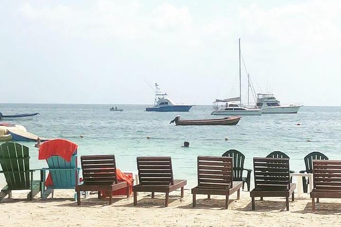 [PRIVATE] Negril Sightseeing Tour with RickS Cafe Cliff Diving - Seven Mile Beach: make this your main beach break