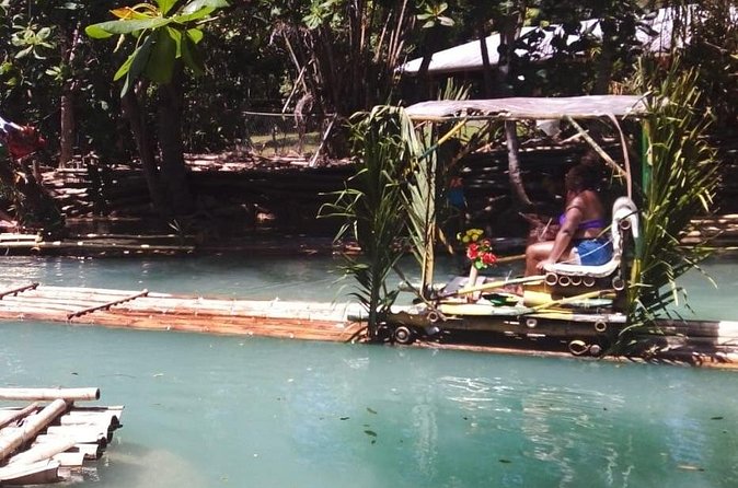 Private River Bamboo Rafting Activity in Ocho Rios Jamaica - Plant stories, fish, and riverbank birds