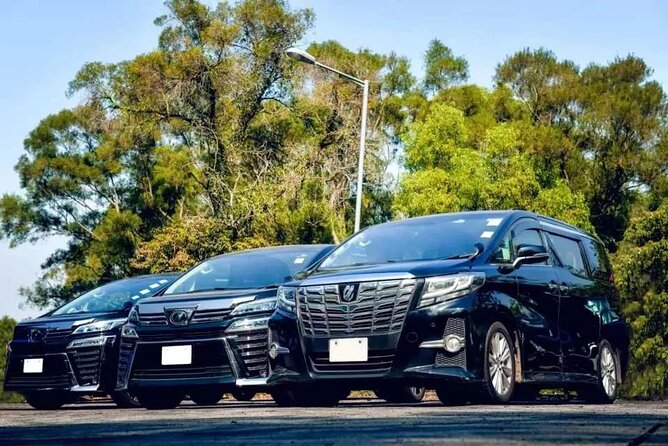 Private Roundtrip Airport Transfer to Iberostar Resorts - Meeting Mark at Sangster International Airport