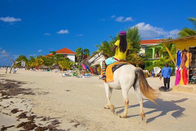 Private Seven Mile Beach and Rick’s Café Tour From Negril Hotels - Who will enjoy this outing most