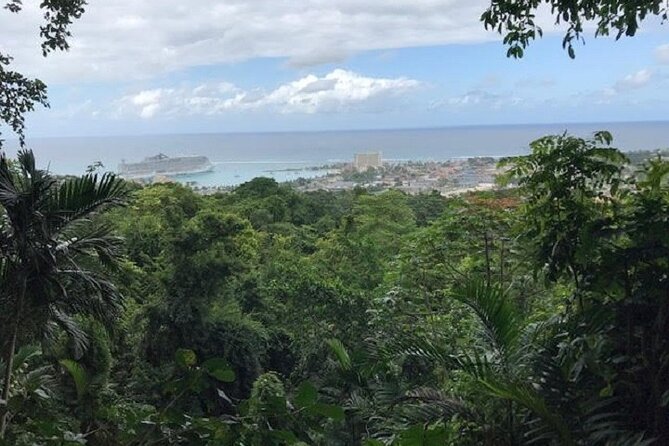 Private Sightseeing Tour in & Around Ocho Rios - Fern Gully at a slow, useful pace
