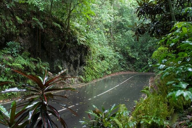 Private Sightseeing Tour in & Around Ocho Rios - A private route you can shape