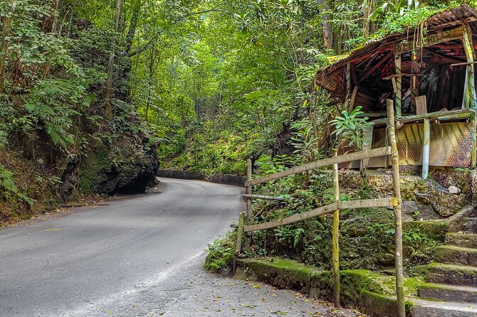 Private Sightseeing Tour in & Around Ocho Rios - What $50 buys you