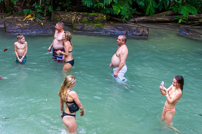 Private Tour - Dunn's River Falls and Ocho Rios Experience from Ocho Rios - What the waterfall climb feels like for families
