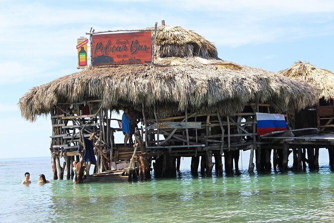 Private Tour from Negril to YS Falls and Pelican Bar - Alligator Pond Bamboo Avenue and the question of timing
