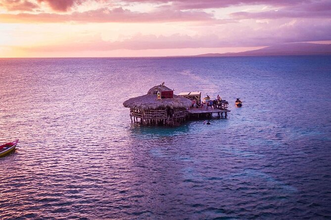 Private Tour from Negril to YS Falls and Pelican Bar - Who will enjoy this Negril excursion?