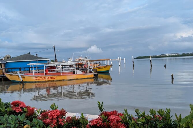 Private Tour in the Glistening Waters from Montego Bay - What you see from the boat