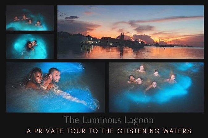 Private Tour in the Glistening Waters from Montego Bay - The optional swim in glowing water