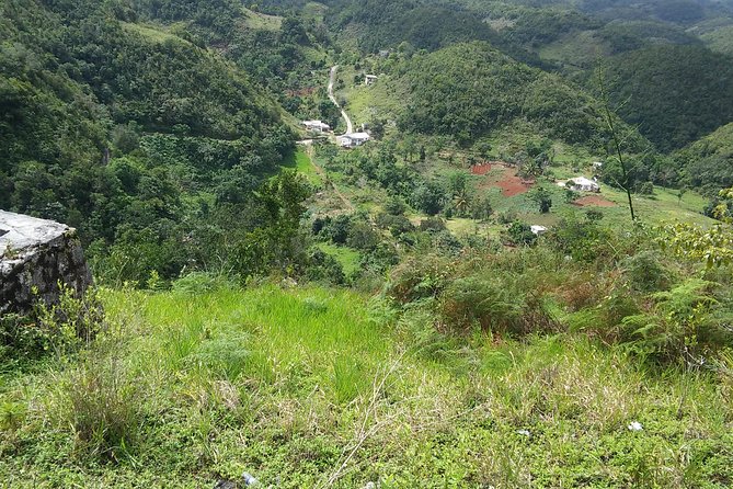 Private Tour Ocho Rios or Runaway Bay To 9 Mile Bob Marley Birth & Resting Place - Drivers who add value to the day