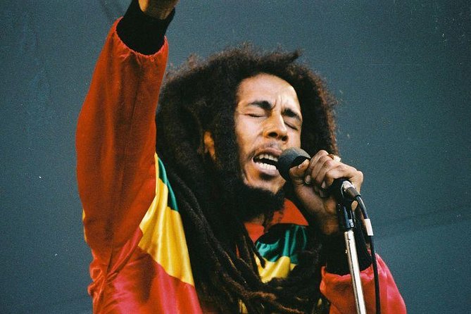 Private Tour Ocho Rios or Runaway Bay To 9 Mile Bob Marley Birth & Resting Place - The ride from Ocho Rios begins with Fern Gully