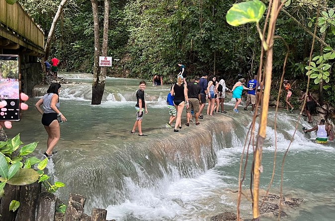 Private Tour To Blue Hole and Dunn’s River from Montego Bay - Who Will Get the Most from This Tour